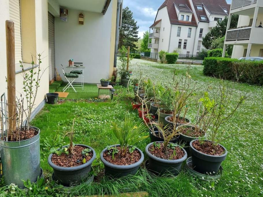 L'Univers Au Blanc. Strazburg Dış mekan fotoğraf